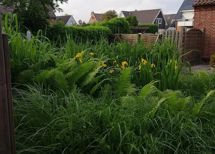 Windstaerke 9.1 Appartement *